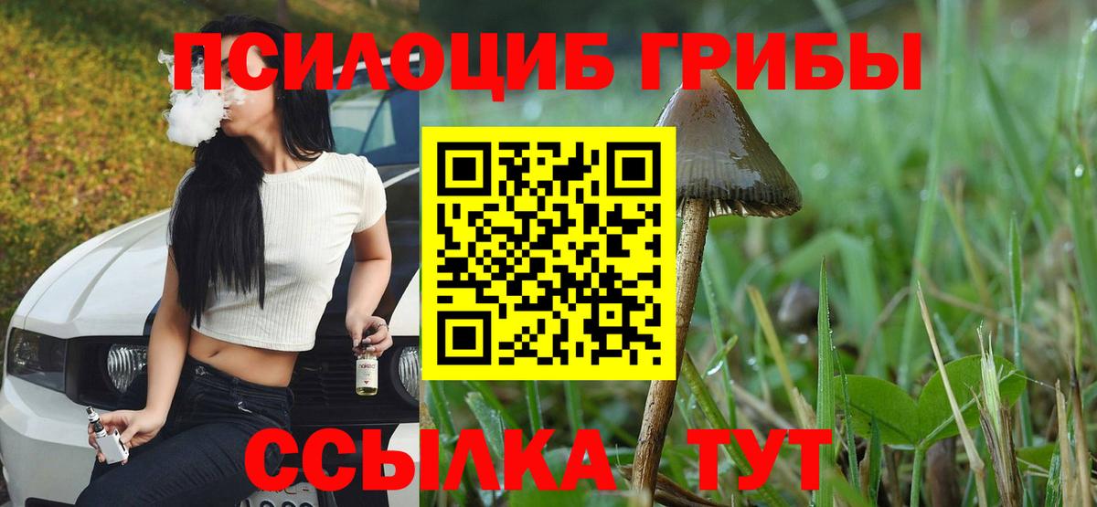 Псилоцибиновые грибы GOLDEN TEACHER Новоалтайск