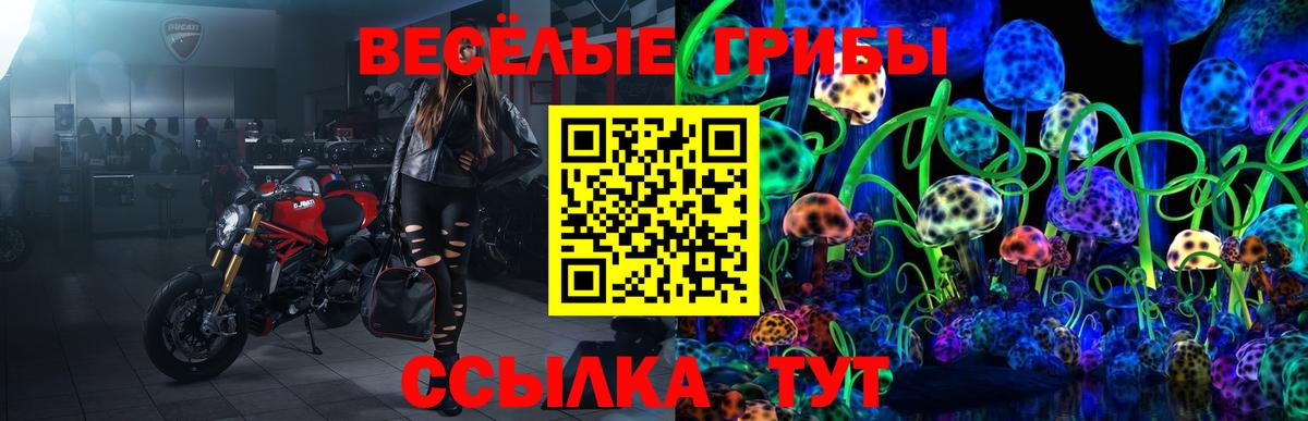 Новоалтайск  Галлюциногенные грибы GOLDEN TEACHER  Вход с VPN 
